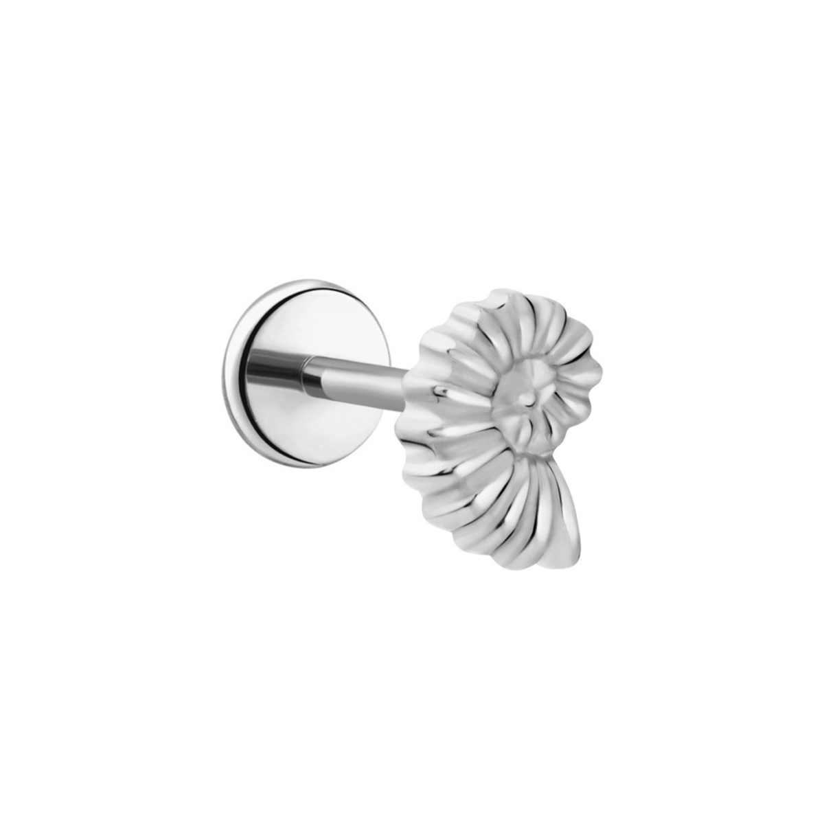 Nautilus Shell Flat Back Stud