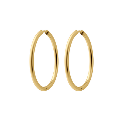 Essential Hoops