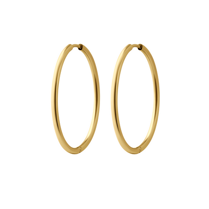 Essential Hoops