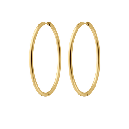 Essential Hoops
