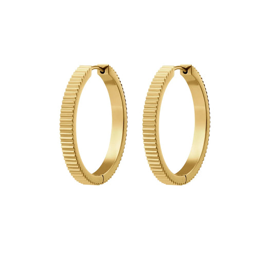 Spare Change Titanium Hoops